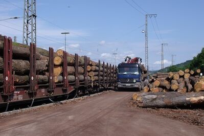 Holzverladung am Bahnhof Neckarelz im Jahre 2010 